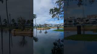 Serene Seminole Boulevard Flooded by Lake Monroe Lined with Trees amp Boats amp Limpkin Sanford [upl. by Zaneski]