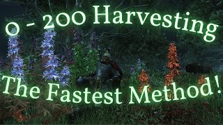 HUGE NEW WORLD HARVESTING ROUTE Brightwood Easy 200 Harvesting Wirefiber Silk threads and fiber [upl. by Paige]