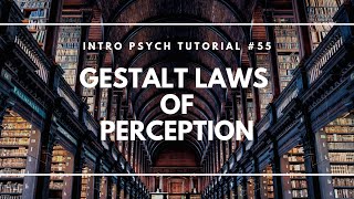 Gestalt Laws of Perception Intro Psych Tutorial 55 [upl. by Ohs]