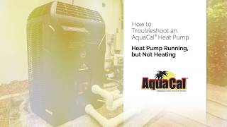 Heat Pump Running but Not Heating [upl. by Evol]