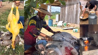 FERIADO NA FAZENDA TORRESMO FRANGO CAIPIRA LEITE… MUITA DIVERSÃO E FARTURA 🙏🏽 [upl. by Messere]