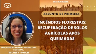 Incêndios florestais recuperação de solos agrícolas após queimadas [upl. by Tal]