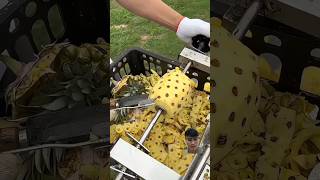 How to peel a pineapple in a sec food peeling amazing viralvideo [upl. by Pacificia132]