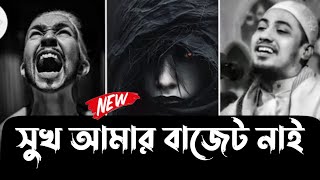 সুখ আমার বাজেটে নাই । আনিসুল রহমান আশরাফী । Anisur Rahman Ashrafi । Anisur Rahman [upl. by Sillaw]