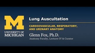 Demonstration Lung Auscultation [upl. by Vento]