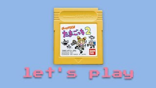 lets play Tamagotchi 2 for the Game Boy [upl. by Olegnalehcim]