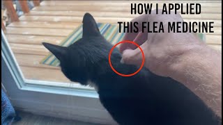 ★★★★★ Cat Flea Medicine Application How To amp Tutorial  Advantage II Protection Large Cats [upl. by Aisya]