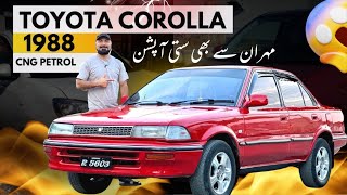 Toyota Corolla 1988  Best Car In Budget [upl. by Anas787]