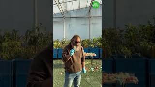 Experimentele lui Șerban vs Plantele de la ROA Garden 🌱🧪 [upl. by Leelaj]