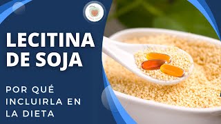 LECITINA DE SOJA SOYA Propiedades y Para qué sirve [upl. by Acsicnarf]