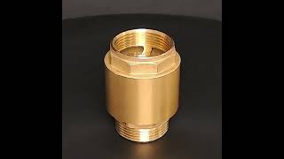 PUK 1 14 inch BSPP Brass Spring Check Valve [upl. by Dougie]