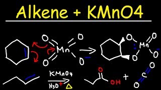 Alkene  KMnO4 Reaction [upl. by Eidarb]