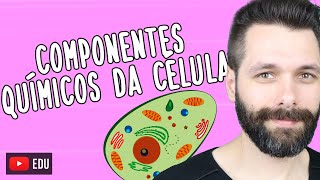 COMPONENTES QUÍMICOS DA CÉLULA Biologia com Samuel Cunha [upl. by Monti]