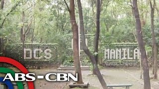 Bandila Arroceros Forest Park nangangambang gawing isang gym [upl. by Nomrah]