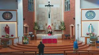 Catholic Mass for Memorial of St Irenaeus  28 June 2024  8am [upl. by Jamaal]