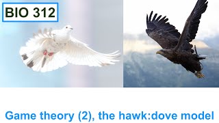 Game theory 2 the hawkdove model [upl. by Devinne]