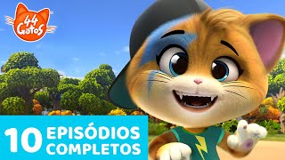 44 Gatos  10 Episódios completos 🐈🐾  Momentos gatásticos  Temporada 1 [upl. by Geier]