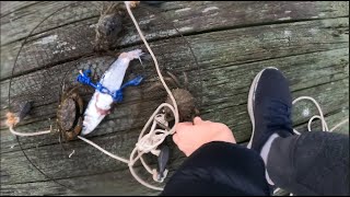 Evening Jones Beach Pier Crabbing [upl. by Acireit]