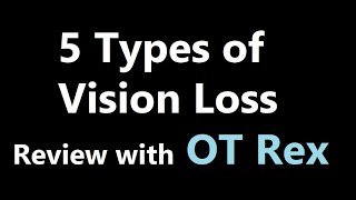 OT Rex  5 Types of Vision Loss [upl. by Karleen846]