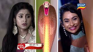 Tori Pain To Pain  13th March 2024  Episodic Promo253  Tarang TV  Tarang Plus [upl. by Negris]