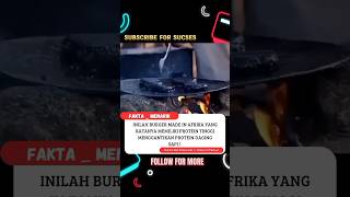 BURGER NYAMUK MADE IN AFRIKA😱 foryou shortvideos faktaunik news viralvideos shorts [upl. by Sperling]