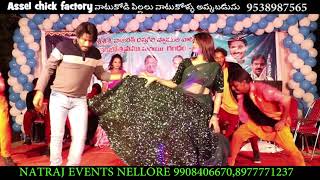 Narasimha Naidu Songs Chilakapacha Koka Video Song Balakrishna Simran natrajevents nellore illu [upl. by Anavrin5]