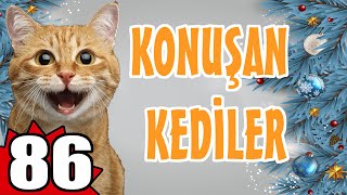 Konuşan Kediler 86  En Komik Kedi Videoları  Pati TV [upl. by Almeda]