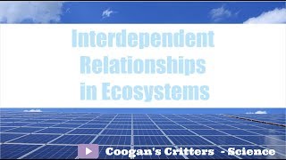 Interdependent Relationships in Ecosystems  Middle School Science [upl. by Neva]