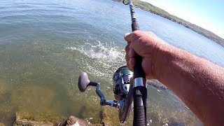 How To Catch HUGE Catfish From The Bank [upl. by Kipp]