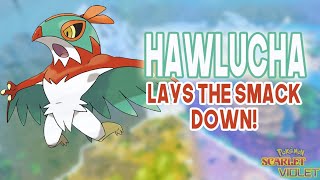 HAWLUCHA is the WORLD CHAMPION of VGC in REG G  Pokemon Scarlet amp Violet [upl. by Rollin429]