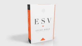 The ESV Study Bible A Look Inside [upl. by Sollars]