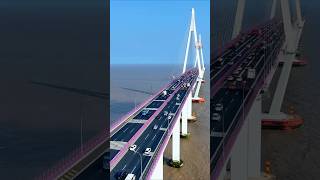 Expansion Gaps of bridge  🤷🤯 facts knowledge science respect safety amazing youtubeshorts [upl. by Elatsyrk]