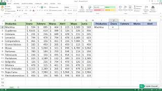 Utilización de INDICE y COINCIDIR en Excel [upl. by Sauls40]