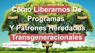 Cómo Liberarnos De Programas Y Patrones Heredados Transgeneracionales [upl. by Eidnac]