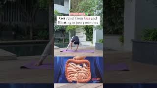 Get relief from gastric and bloating issues … yoga yogareel [upl. by Polloch]