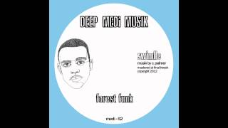 Swindle  Belfast DEEP MEDi Musik 2012 [upl. by Manbahs252]