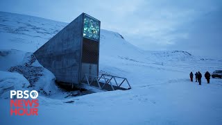 Global Seed Vault becomes more important than ever as climate change threatens crops [upl. by Yedarb424]