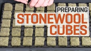 How To Prepare and Presoak Rockwool Cubes for Hydroponics—The Right Way [upl. by Leahcimnhoj388]