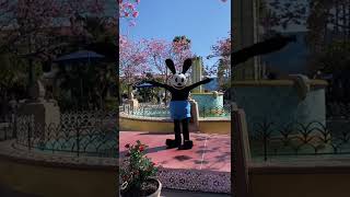 Oswald the Lucky Rabbit  DCA 2022 [upl. by Matthaeus]