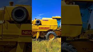 New Holland Clayson 8070combineharvester harvestar [upl. by Langan]