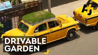 A Different Kind Of Green Car With A Rooftop Garden [upl. by Notxed]