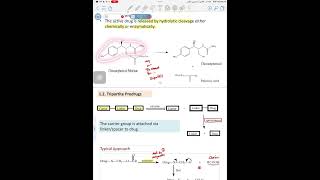 Organic chemistry Lec 2 part 2  Prodrug of functional groups [upl. by Etnoed]