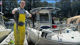 Robalo R200 Fishing [upl. by Cleary965]