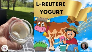 LREUTERI YOGURT Fermented Dairy [upl. by Jonell]