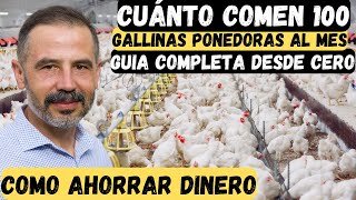 Cuánto comen 100 gallinas ponedoras al mes guia completa desde cero [upl. by Igic350]