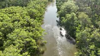 Tingalpa Creek A different view [upl. by Bayly]