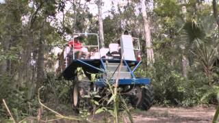 Swamp Buggy Tour  Captain Jacks [upl. by Otreblaug]