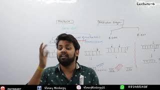 Lec4  Difference Nuclease and Restriction Enzyme  Biotechnology  Vinay Biology [upl. by Sly]