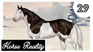 Horse Reality HR Neue DECKHENGSTE bei SL Performance Horses Lets Play 29 DEUTSCH [upl. by Aned218]