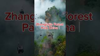 Exploring the Wonders of China Zhangjiajie National Forest Park shorts china travel [upl. by Copp379]